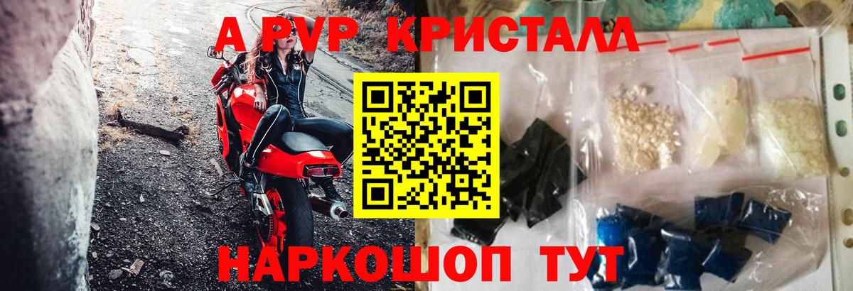 Альфа ПВП СК Выборг
