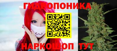 прущие грибы Аргун