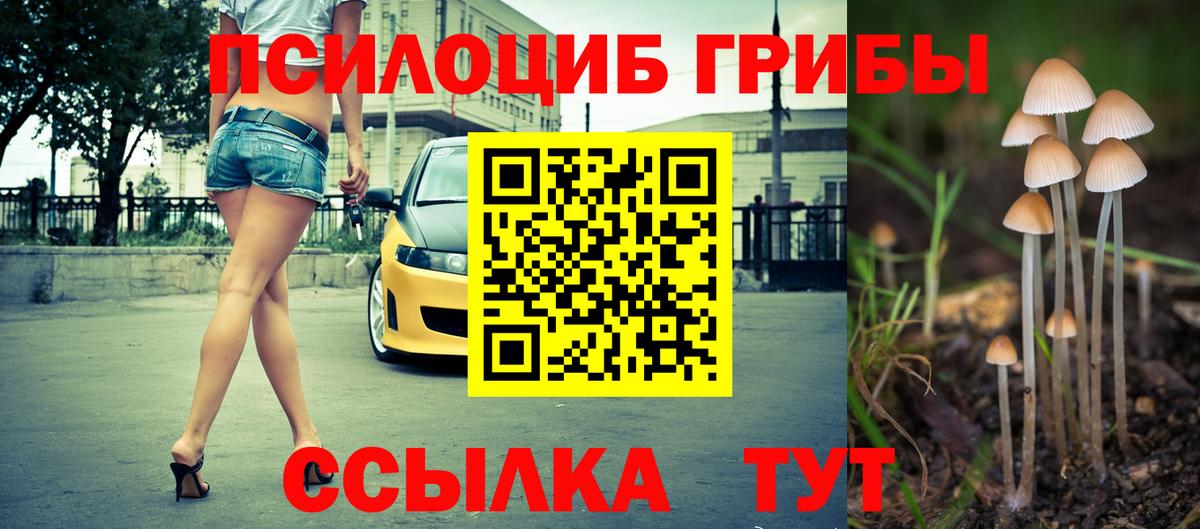 Псилоцибиновые грибы Magic Shrooms Выборг