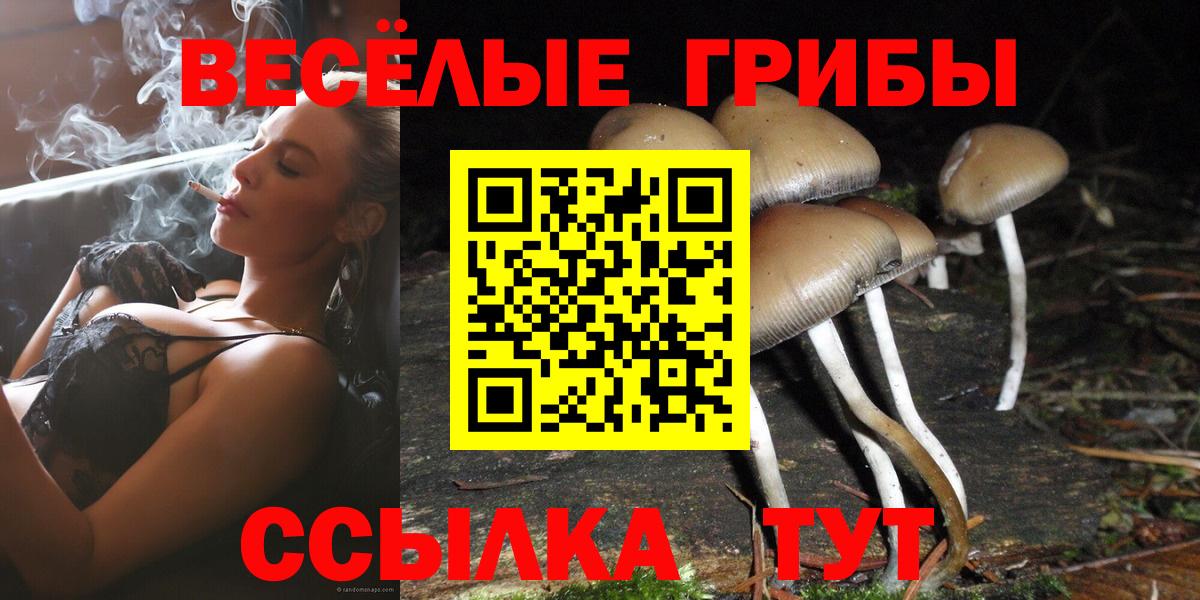 Псилоцибиновые грибы Magic Shrooms  Вход с VPN  Выборг 